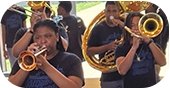 WWF-Band